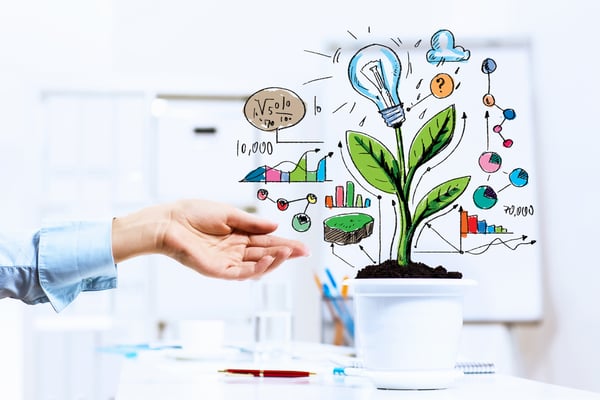 Close-up image of human hand and pot with money tree-1