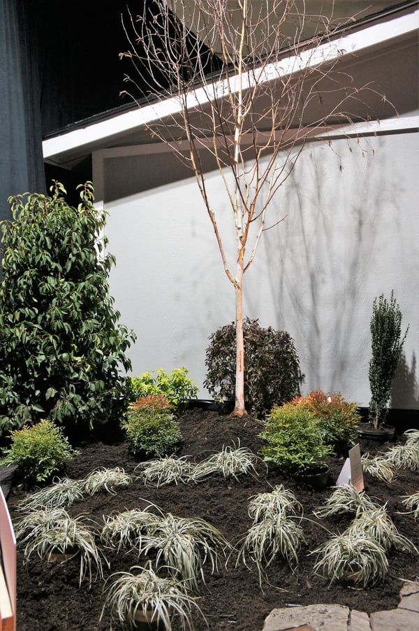 Seattle Home Show Spring 2019 Garden