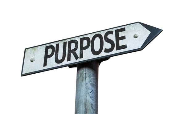 Contractors, How Can You Provide Year-round Value To Your Clients?